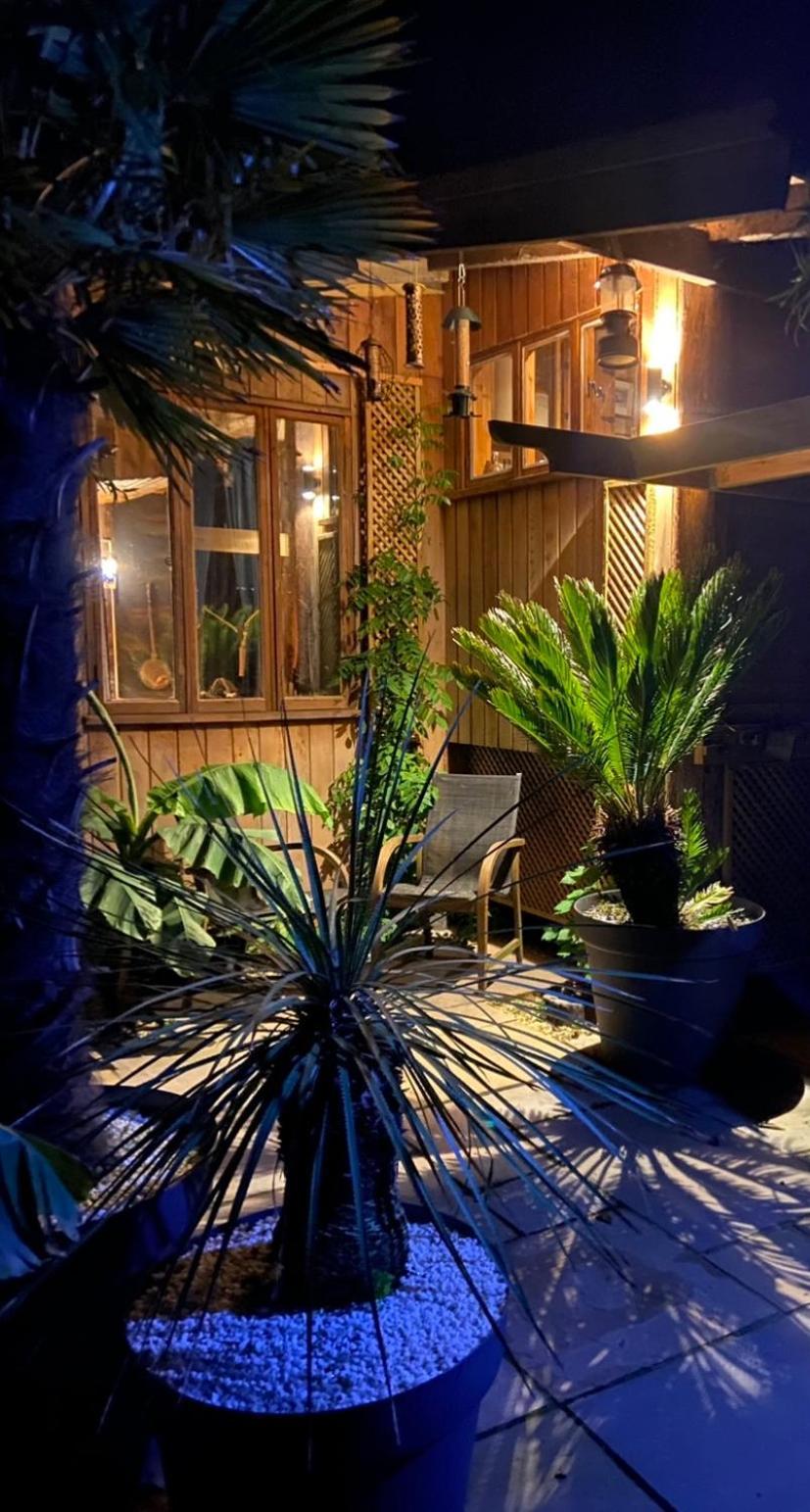 Jungle Cabin Martin Mill Kültér fotó