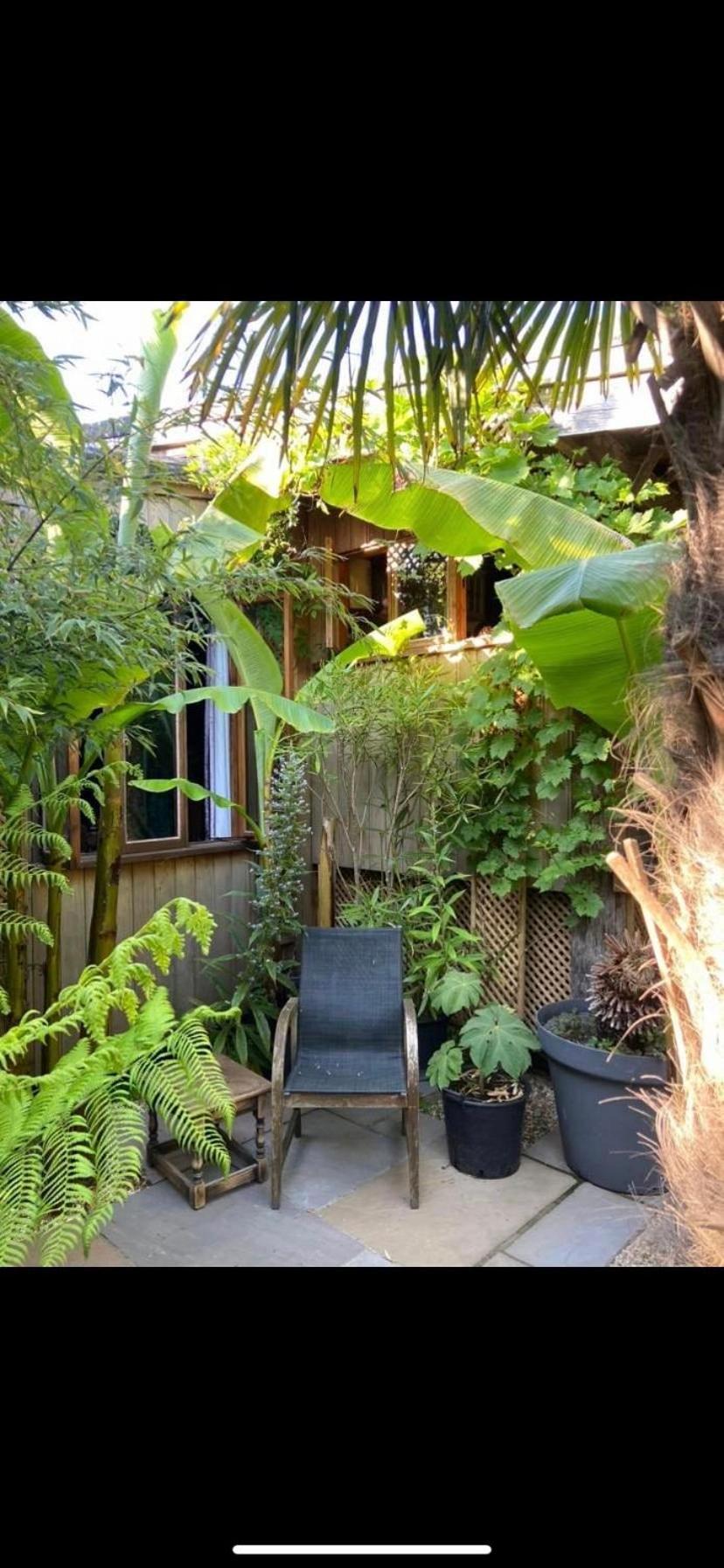 Jungle Cabin Martin Mill Kültér fotó